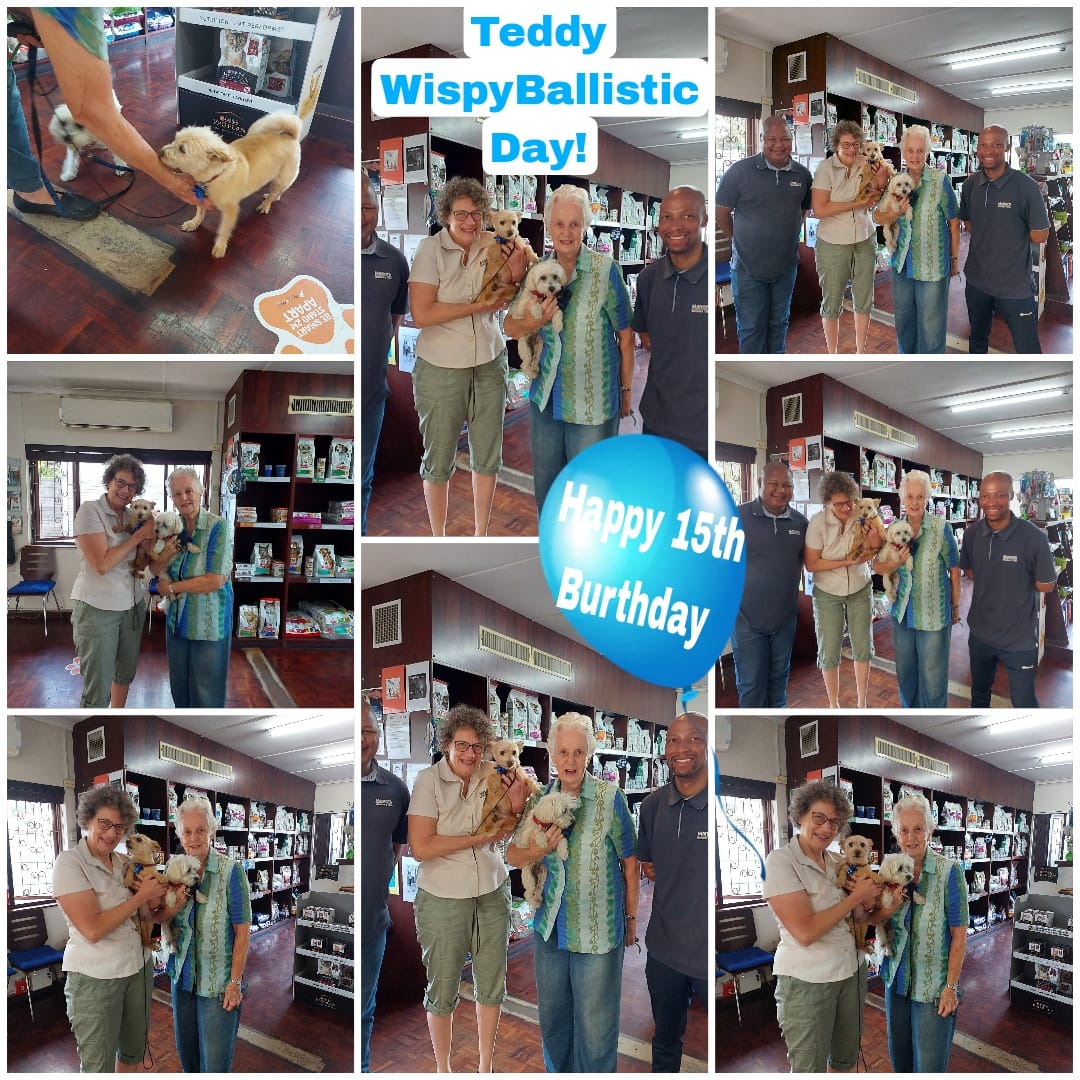 Teddys 15th birthday