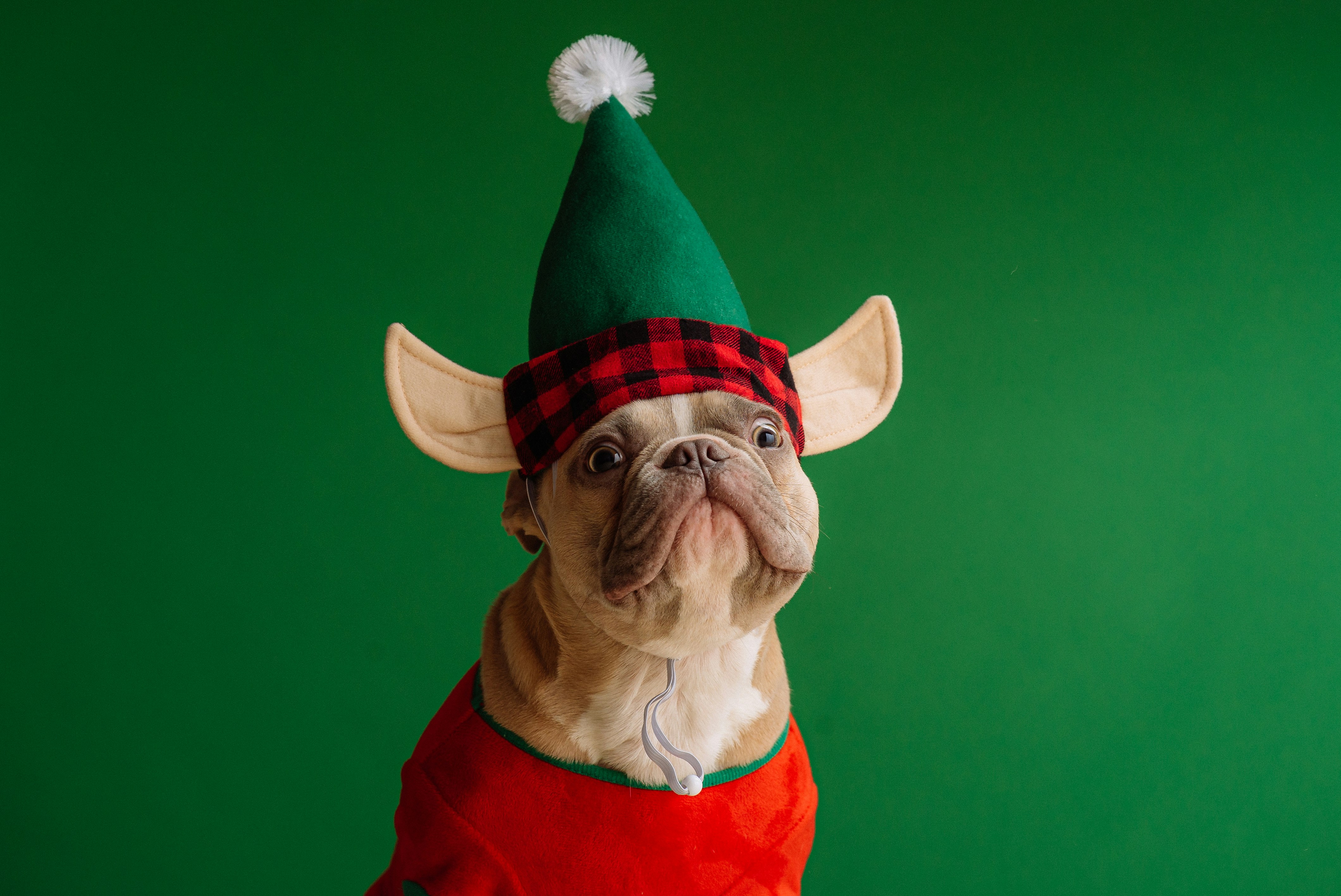 karsten winegeart 7UduWMpT618 unsplash