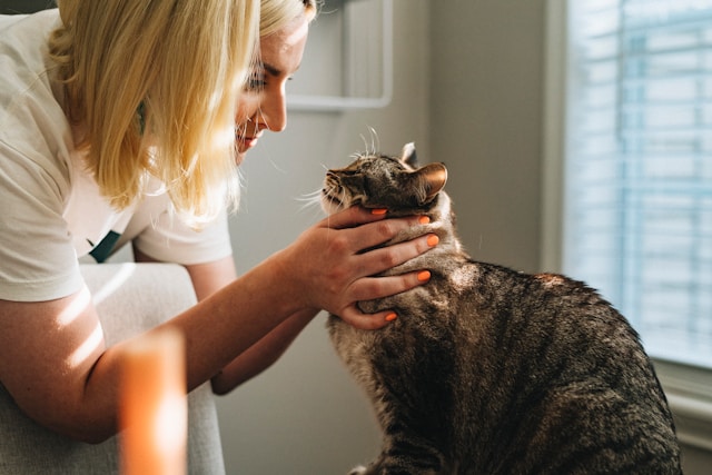 woman and cat