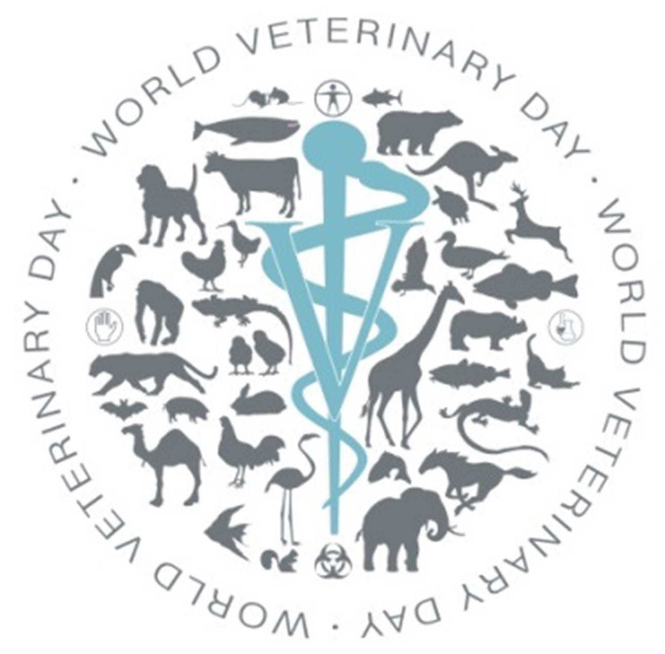 wvd logo 1